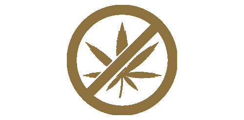 cannabis-verbotN